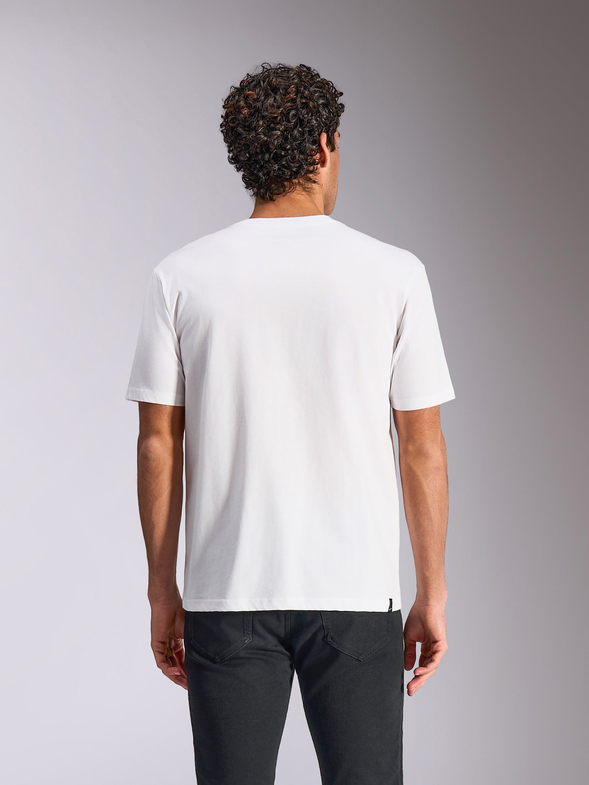 Alpinestars Plate CSF Tee, Short Sleeve T-Shirt, White, Back view, worn with black pants, casual motorsport streetwear