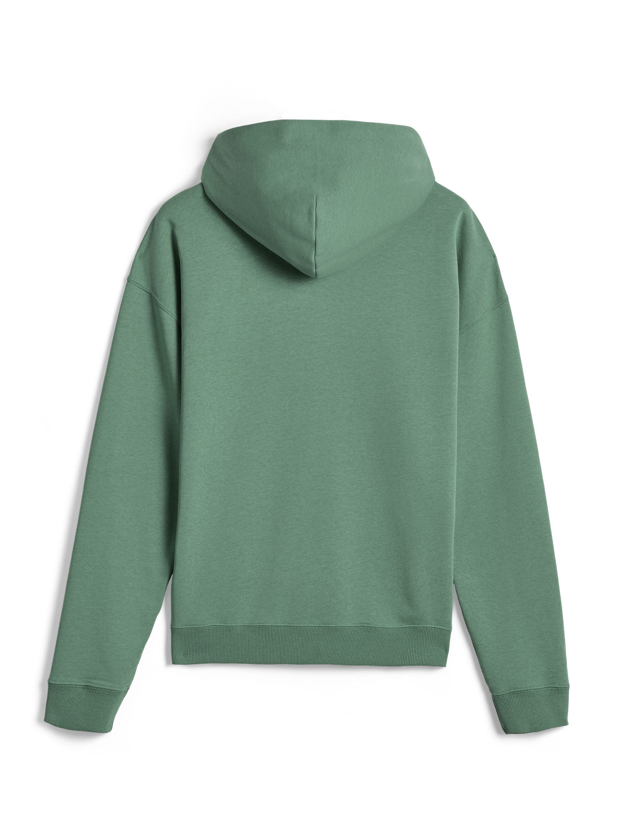 Alpinestars Essentials Ageless Hoodie, casual streetwear, Cactus green, back view, long sleeves, hooded pullover with ribbed cuffs and hem, clean minimalist design