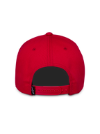 Ageless Snapback Hat
