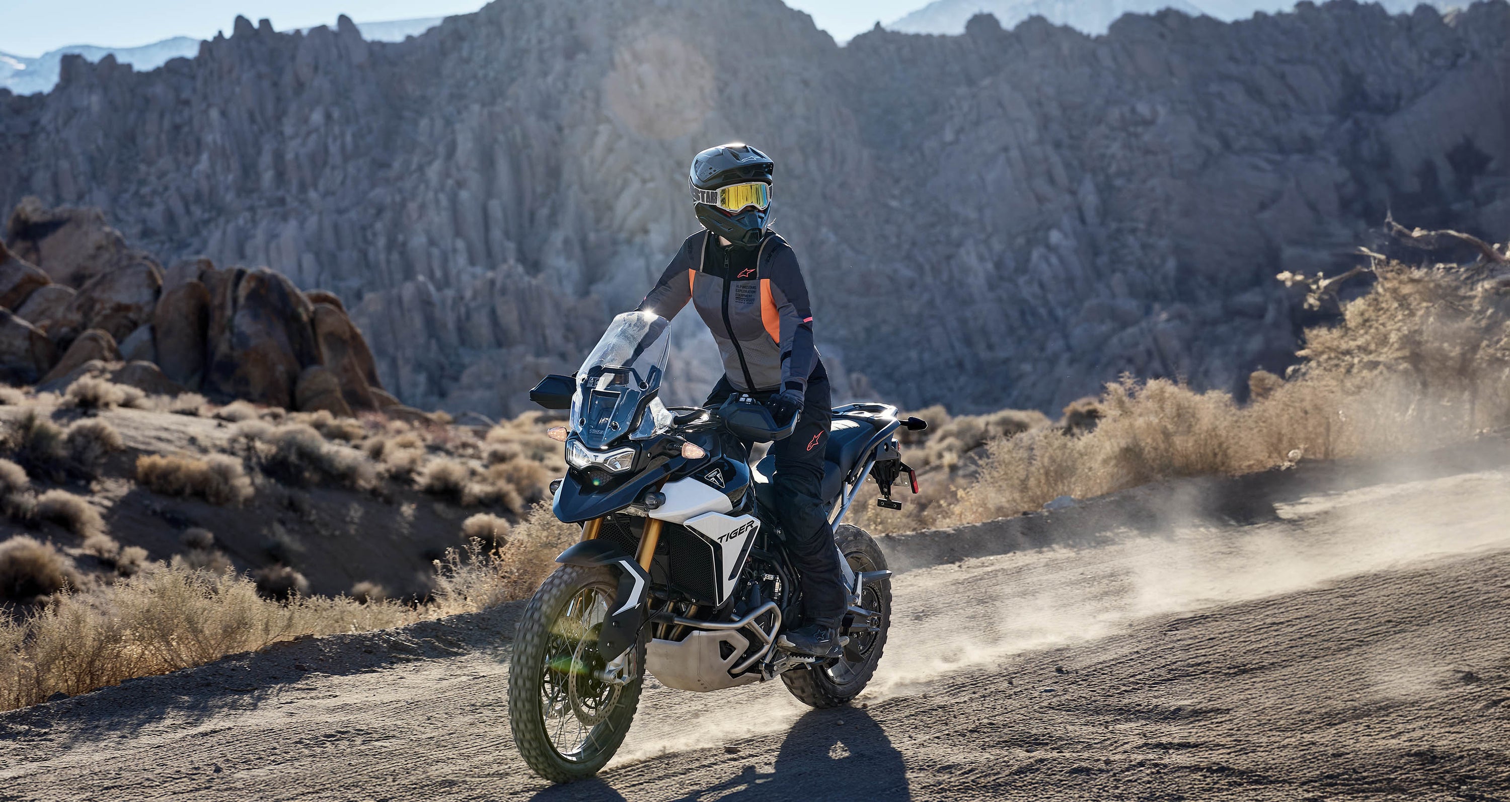 Image 68185030361466